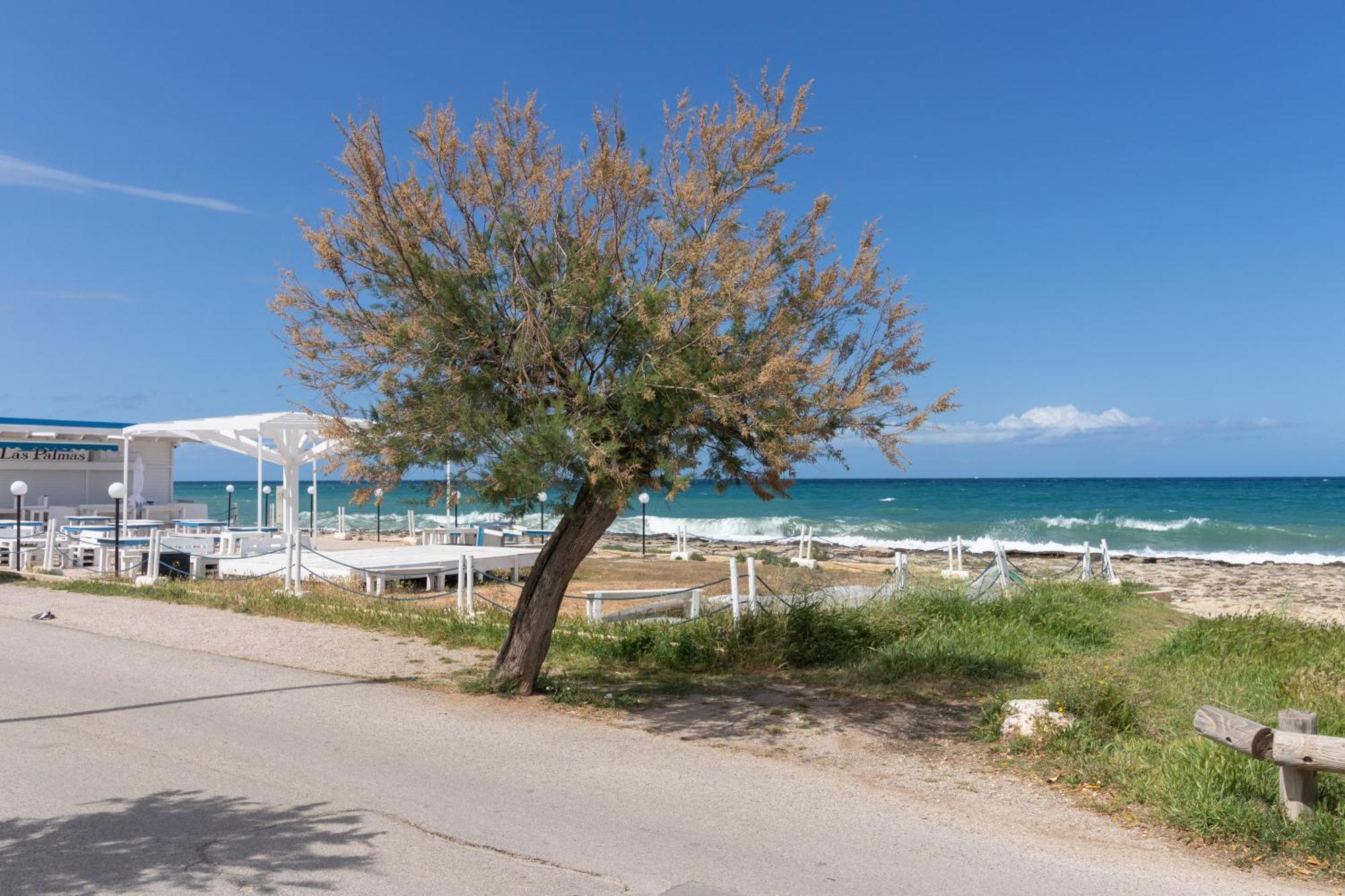 Rossella House Διαμέρισμα Mola di Bari Εξωτερικό φωτογραφία